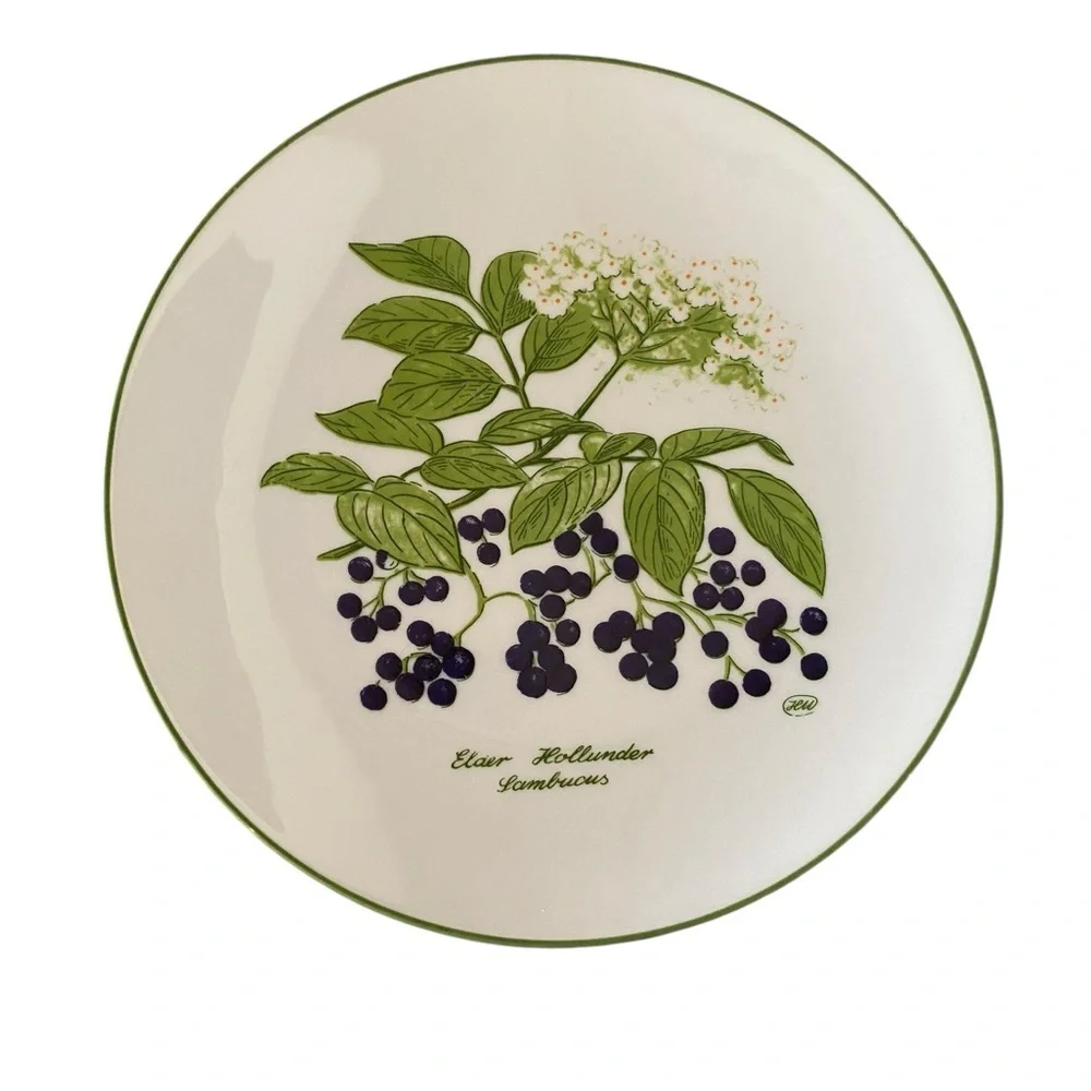 Bareuther Waldsassen Bavaria Botanic Flower berries 142 Salad Plates green trim